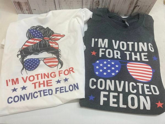 Voting For Convicted felon